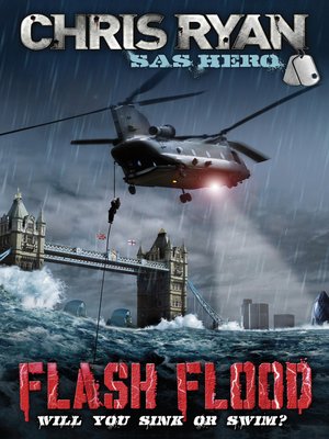 cover image of Flash Flood